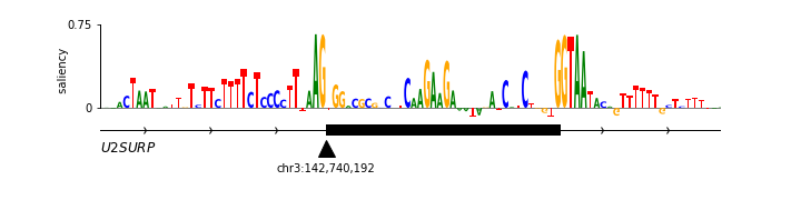 _images/nn_saliency_logo.png